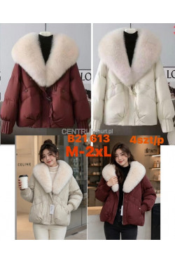 Kurtka damska zimowa (M-2XL) B21613